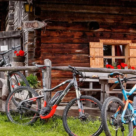 Dom wakacyjny Sommerbichl Zell am See